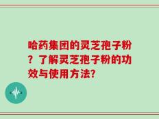 哈药集团的灵芝孢子粉？了解灵芝孢子粉的功效与使用方法？