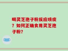 喝灵芝孢子粉反应咳痰？如何正确食用灵芝孢子粉？