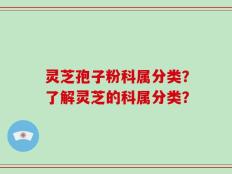 灵芝孢子粉科属分类？了解灵芝的科属分类？
