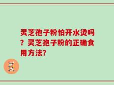 灵芝孢子粉怕开水烫吗？灵芝孢子粉的正确食用方法？