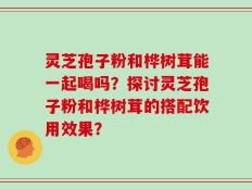 灵芝孢子粉和桦树茸能一起喝吗？探讨灵芝孢子粉和桦树茸的搭配饮用效果？
