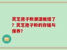 灵芝孢子粉潮湿板结了？灵芝孢子粉的存储与保养？