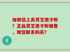 加微信上卖灵芝孢子粉？正品灵芝孢子粉销售，微信联系购买？