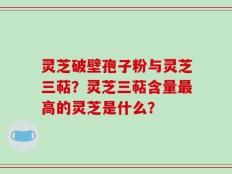 灵芝破壁孢子粉与灵芝三萜？灵芝三萜含量最高的灵芝是什么？