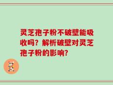 灵芝孢子粉不破壁能吸收吗？解析破壁对灵芝孢子粉的影响？