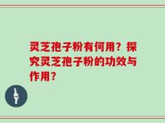灵芝孢子粉有何用？探究灵芝孢子粉的功效与作用？