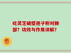 吃灵芝破壁孢子粉对肺部？功效与作用详解？