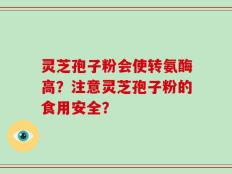 灵芝孢子粉会使转氨酶高？注意灵芝孢子粉的食用安全？
