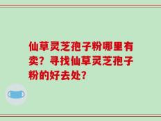 仙草灵芝孢子粉哪里有卖？寻找仙草灵芝孢子粉的好去处？