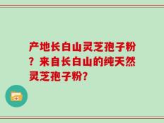 产地长白山灵芝孢子粉？来自长白山的纯天然灵芝孢子粉？