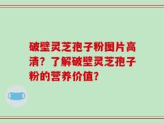 破壁灵芝孢子粉图片高清？了解破壁灵芝孢子粉的营养价值？