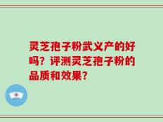 灵芝孢子粉武义产的好吗？评测灵芝孢子粉的品质和效果？