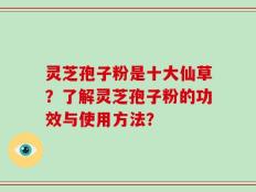 灵芝孢子粉是十大仙草？了解灵芝孢子粉的功效与使用方法？