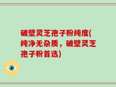 破壁灵芝孢子粉纯度(纯净无杂质，破壁灵芝孢子粉首选)