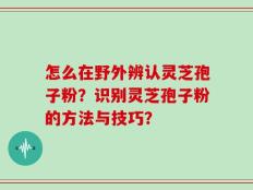怎么在野外辨认灵芝孢子粉？识别灵芝孢子粉的方法与技巧？