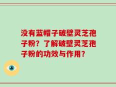 没有蓝帽子破壁灵芝孢子粉？了解破壁灵芝孢子粉的功效与作用？