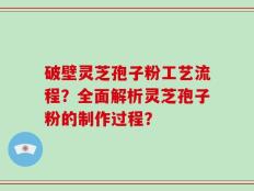 破壁灵芝孢子粉工艺流程？全面解析灵芝孢子粉的制作过程？