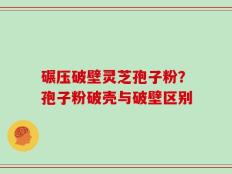 碾压破壁灵芝孢子粉？孢子粉破壳与破壁区别