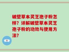 破壁草本灵芝孢子粉怎样？详解破壁草本灵芝孢子粉的功效与使用方法？