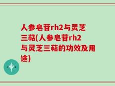 人参皂苷rh2与灵芝三萜(人参皂苷rh2与灵芝三萜的功效及用途)