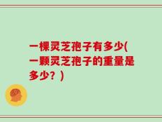 一棵灵芝孢子有多少(一颗灵芝孢子的重量是多少？)