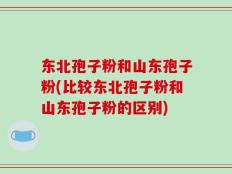 东北孢子粉和山东孢子粉(比较东北孢子粉和山东孢子粉的区别)