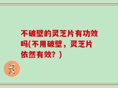 不破壁的灵芝片有功效吗(不用破壁，灵芝片依然有效？)