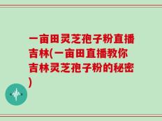 一亩田灵芝孢子粉直播吉林(一亩田直播教你吉林灵芝孢子粉的秘密)