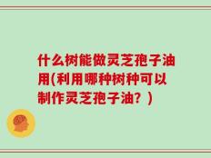 什么树能做灵芝孢子油用(利用哪种树种可以制作灵芝孢子油？)