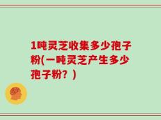 1吨灵芝收集多少孢子粉(一吨灵芝产生多少孢子粉？)