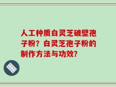 人工种质白灵芝破壁孢子粉？白灵芝孢子粉的制作方法与功效？