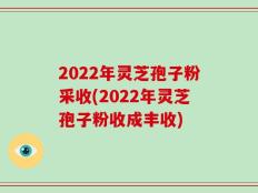 2022年灵芝孢子粉采收(2022年灵芝孢子粉收成丰收)