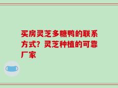买房灵芝多糖鸭的联系方式？灵芝种植的可靠厂家
