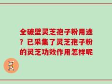 全破壁灵芝孢子粉用途？已采集了灵芝孢子粉的灵芝功效作用怎样呢