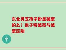 东北灵芝孢子粉是破壁的么？孢子粉破壳与破壁区别