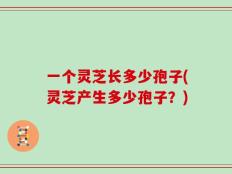一个灵芝长多少孢子(灵芝产生多少孢子？)