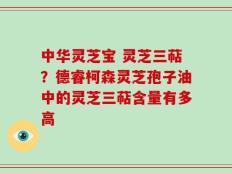 中华灵芝宝 灵芝三萜？德睿柯森灵芝孢子油中的灵芝三萜含量有多高