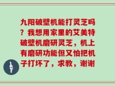九阳破壁机能打灵芝吗？我想用家里的艾美特破壁机磨研灵芝，机上有磨研功能但又怕把机子打坏了，求教，谢谢