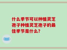 什么季节可以种植灵芝孢子种植灵芝孢子的最佳季节是什么？