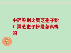 中药鉴别之灵芝孢子粉？灵芝孢子粉是怎么样的