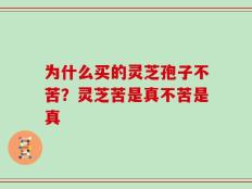 为什么买的灵芝孢子不苦？灵芝苦是真不苦是真