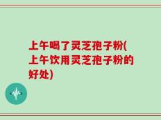 上午喝了灵芝孢子粉(上午饮用灵芝孢子粉的好处)