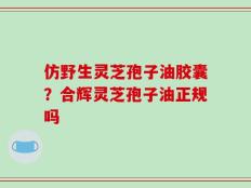 仿野生灵芝孢子油胶囊？合辉灵芝孢子油正规吗