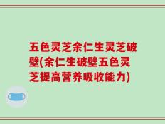 五色灵芝余仁生灵芝破壁(余仁生破壁五色灵芝提高营养吸收能力)