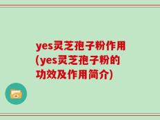 yes灵芝孢子粉作用(yes灵芝孢子粉的功效及作用简介)