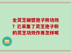 全灵芝破壁孢子粉功效？已采集了灵芝孢子粉的灵芝功效作用怎样呢
