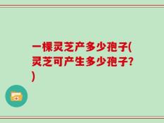 一棵灵芝产多少孢子(灵芝可产生多少孢子？)