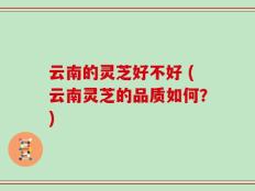 云南的灵芝好不好 (云南灵芝的品质如何？)