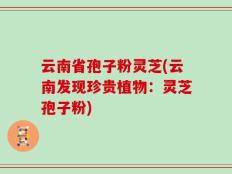 云南省孢子粉灵芝(云南发现珍贵植物：灵芝孢子粉)