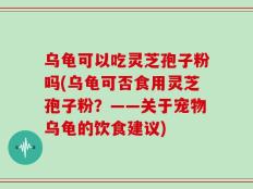 乌龟可以吃灵芝孢子粉吗(乌龟可否食用灵芝孢子粉？——关于宠物乌龟的饮食建议)